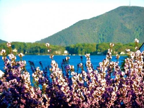 08:37:57 GMT-0500 (EST).image