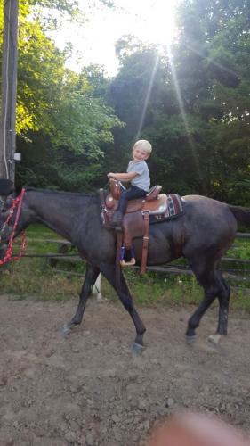 15:39:11 GMT-0500 (EST)