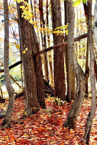 13:32:08 GMT-0500 (EST).image