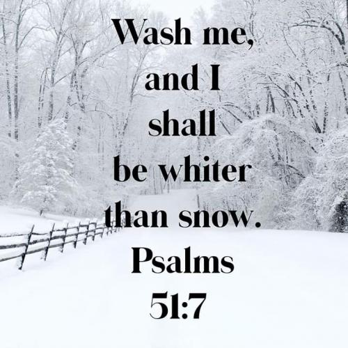 FB_IMG_1572622689639