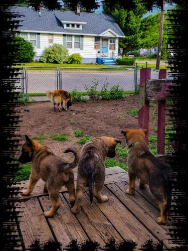 20:14:10 GMT-0600 (CST)