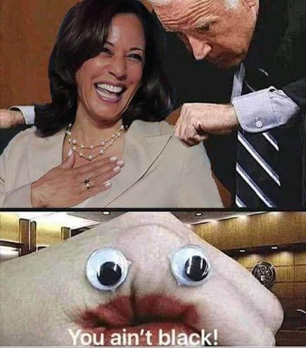 22:41:31 GMT-0500 (EST)