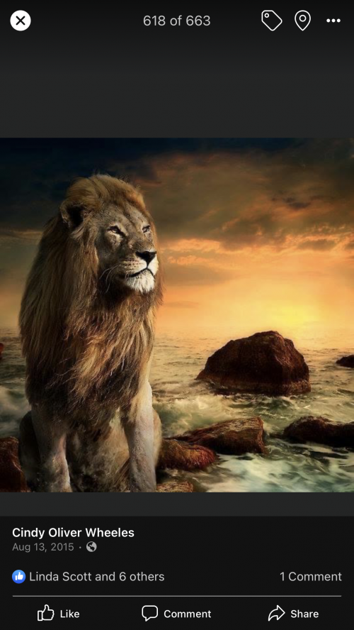 21:53:13 GMT-0600 (CST).image