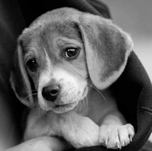 23:05:22 GMT-0600 (CST).image