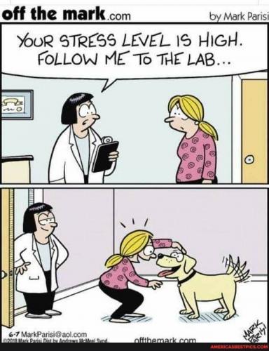 21:25:04 GMT-0600 (CST).image