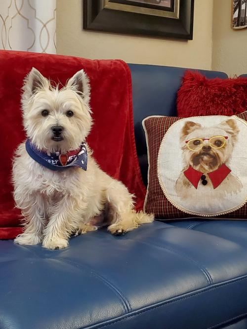 08:50:18 GMT-0600 (CST)