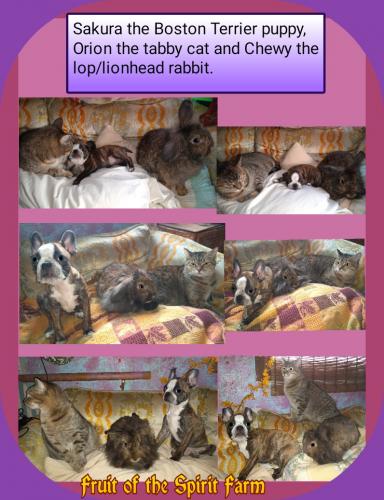 22:20:03 GMT-0600 (CST)