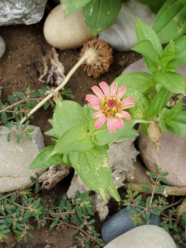 15:21:27 GMT-0800 (PST)