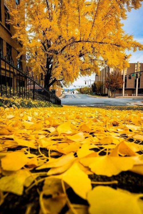 21:21:12 GMT-0500 (EST).image