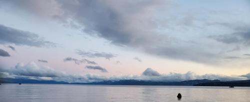 102474109_3154314147940265_2391705896770740121_o