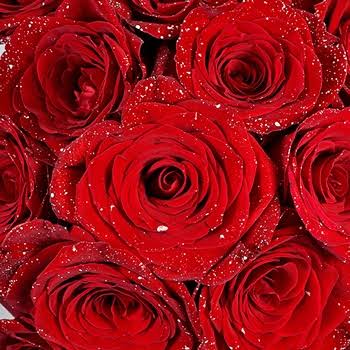 B779CDAD-0D6B-4205-A7F5-C4A9D19B8F46