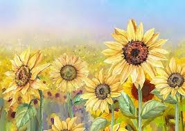 sunflowers