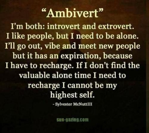 ambivert_n
