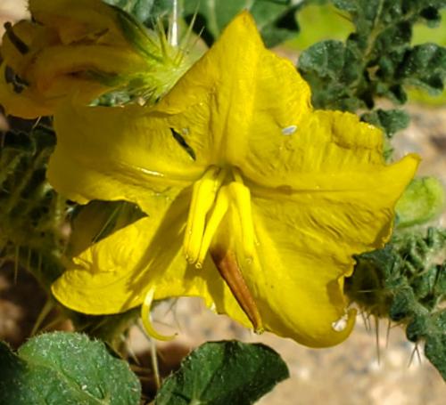 15:47:39 GMT-0800 (PST)