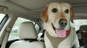 03:37:14 GMT-0500 (EST)