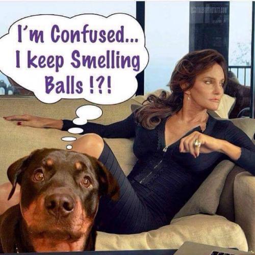 20:31:47 GMT-0500 (EST)