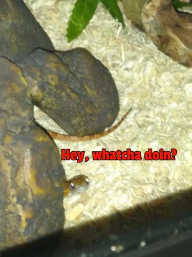 22:18:29 GMT-0500 (EST)