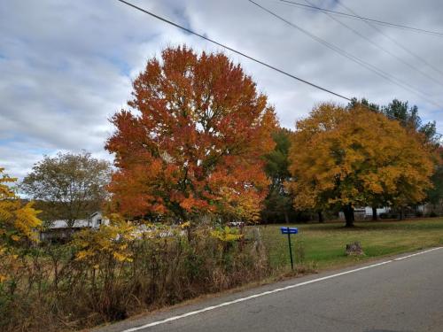 11:38:24 GMT-0500 (EST)