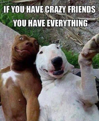 10168098_751392584901233_6749876829996637629_n