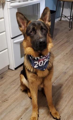 22:04:53 GMT-0700 (MST)