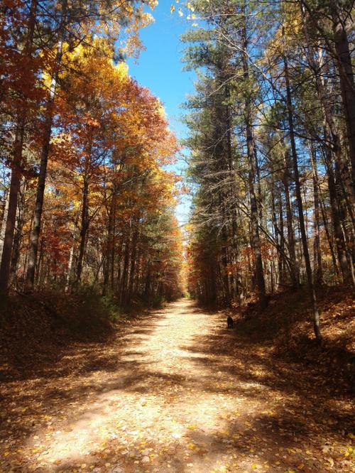 22:16:57 GMT-0600 (CST)