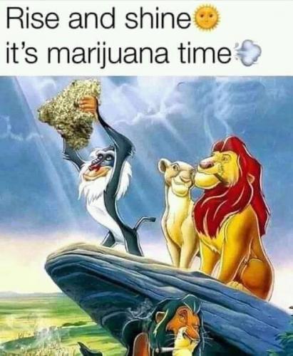 08:41:59 GMT-0500 (EST).image