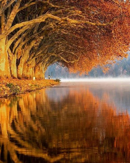 17:32:43 GMT-0500 (EST)