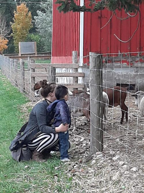 23:33:36 GMT-0500 (EST)