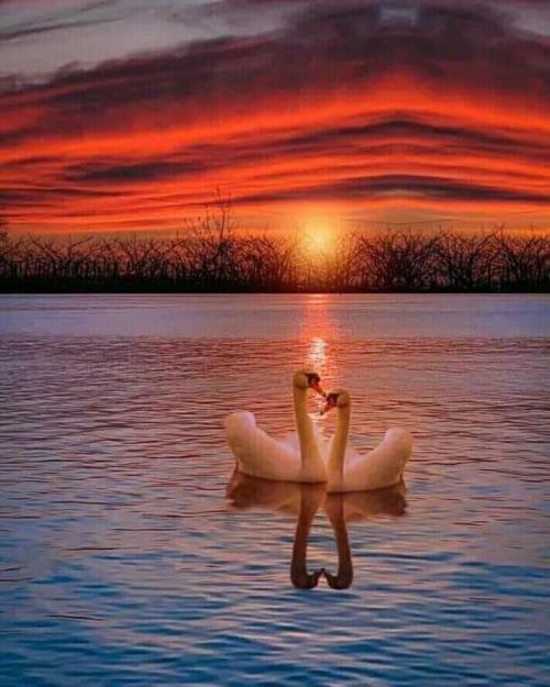 22:31:38 GMT-0700 (MST)