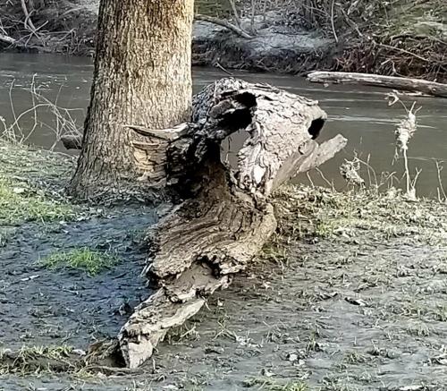 12:35:22 GMT-0500 (EST).image