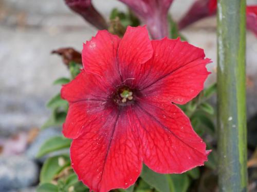 15:13:39 GMT-0800 (PST)