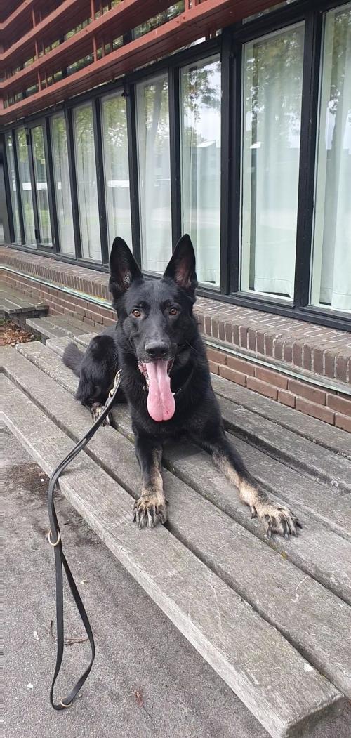 19:53:27 GMT+0100 (CET)