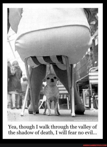 20:18:05 GMT-0600 (CST).image