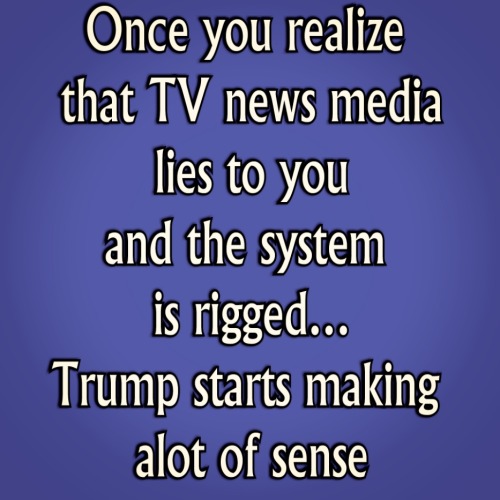 tumblr_31ec84bddae859ac917c05dcd61f9ea5_13310c9c_500