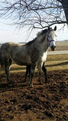 15:29:18 GMT-0500 (EST)