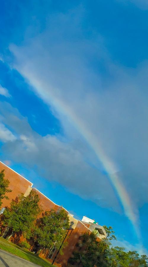 19:12:11 GMT-0500 (EST)