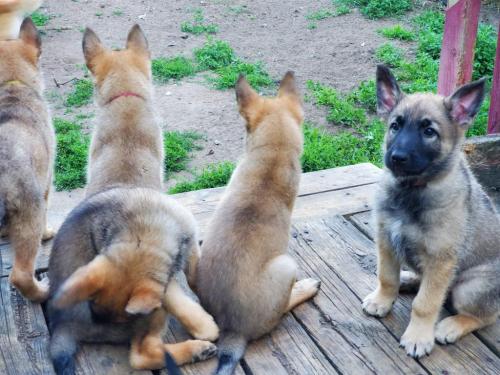 20:15:30 GMT-0600 (CST)