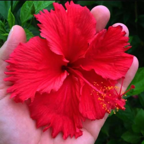 11:50:30 GMT+0100 (WAT)