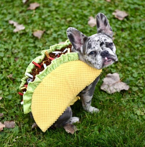 3DC764AA-933D-47AA-9A07-129E91E08BF2