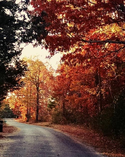 08:09:15 GMT-0600 (CST).image