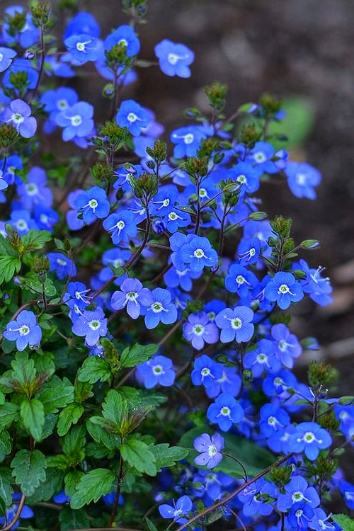 08:21:06 GMT-0800 (PST)