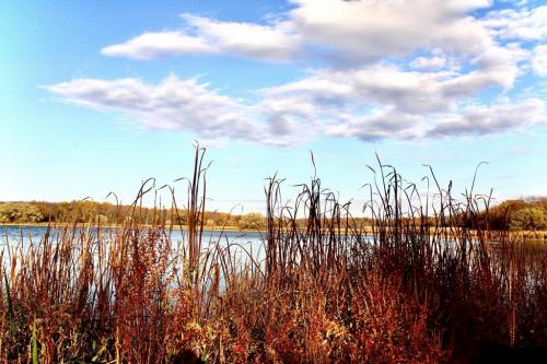 17:47:59 GMT-0500 (EST).image