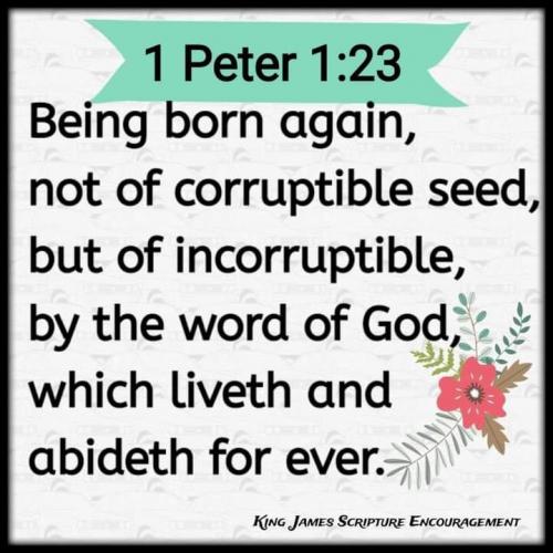 13:46:15 GMT-0600 (CST)