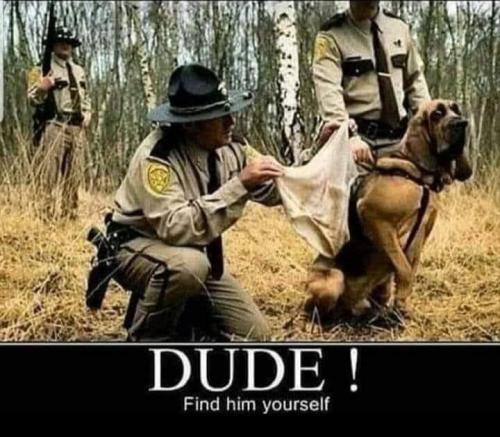 19:36:06 GMT-0500 (EST).image