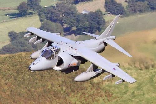 126202105_3519234654829396_4375367315360352199_o