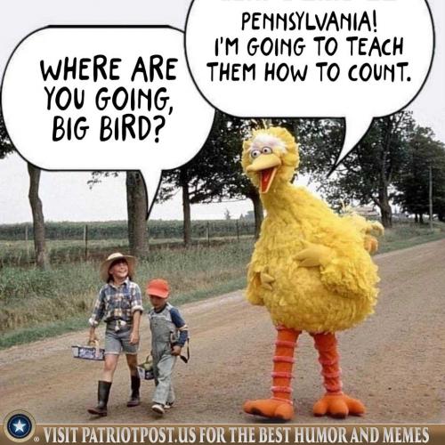 Big bird- counts
