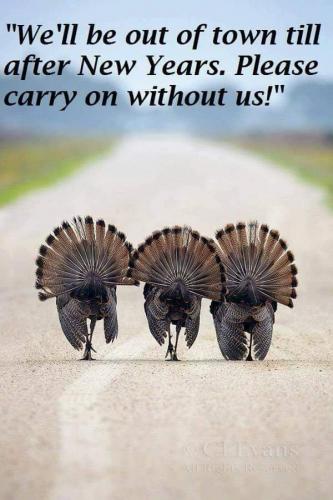 23:25:35 GMT-0500 (EST)