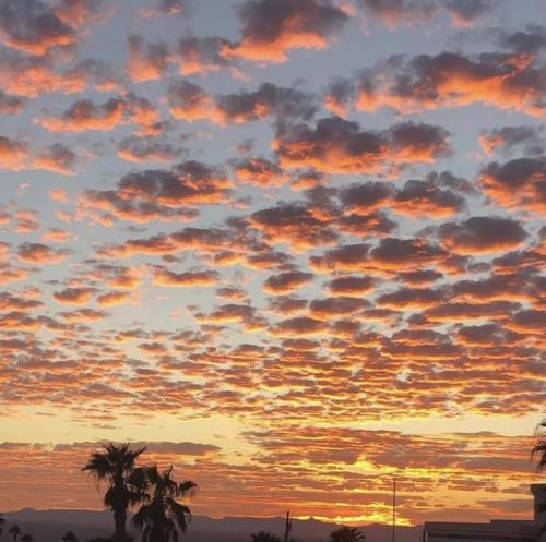 08:18:26 GMT-0800 (PST).image