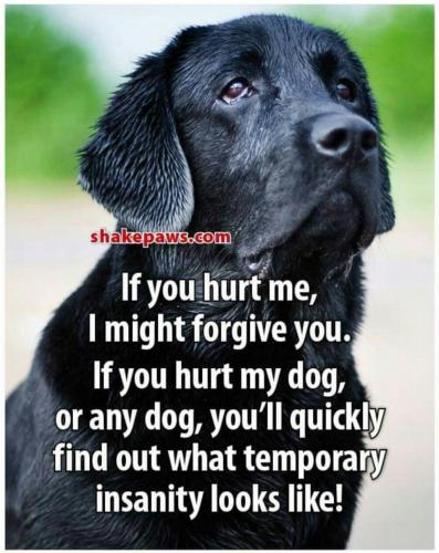 Screenshot_2019-08-29-17-42-39-1