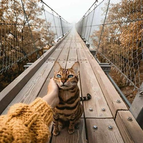 23:14:24 GMT+0100 (WAT).image